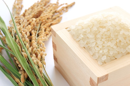 美味しくお米を保存する方法