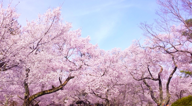 花京院緑地