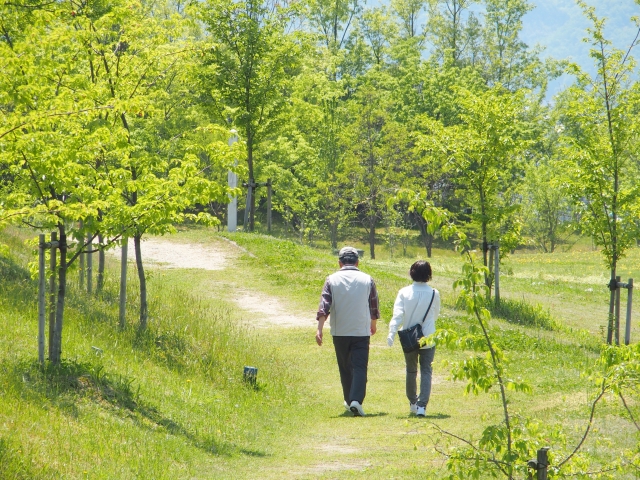 錦ヶ丘中央公園