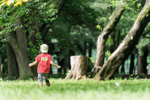 折立公園